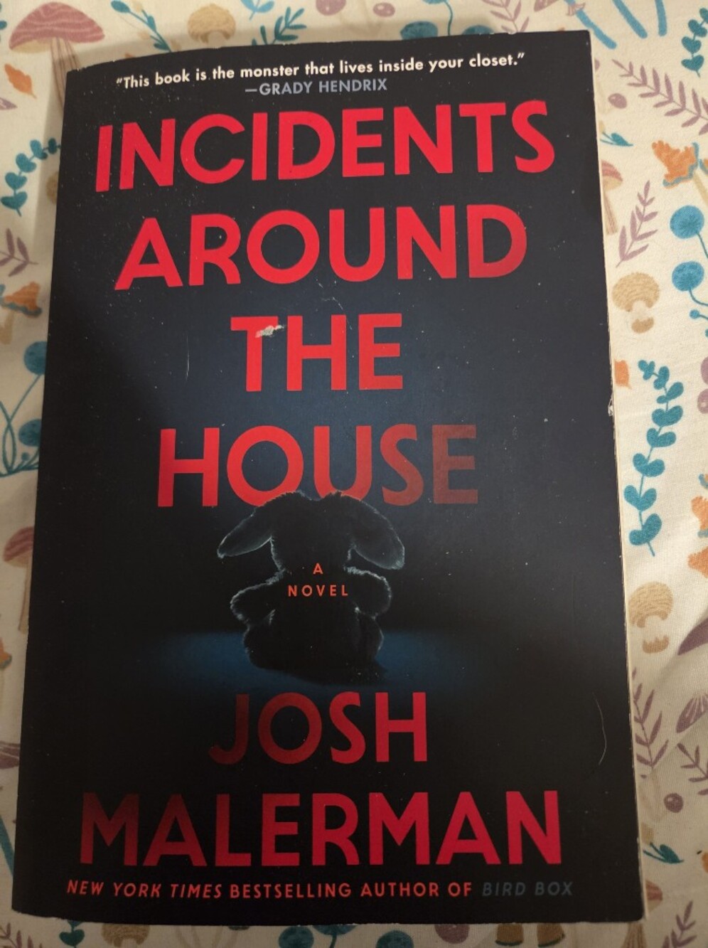 Incidents Around The House